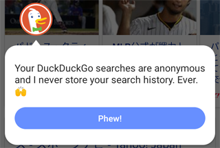 Your DuckDuckGo searches are ...